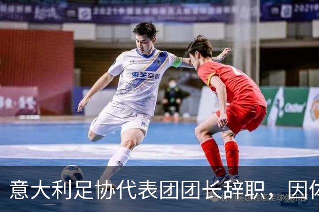 意大利足协代表团团长辞职，因体育部长言论引发争议